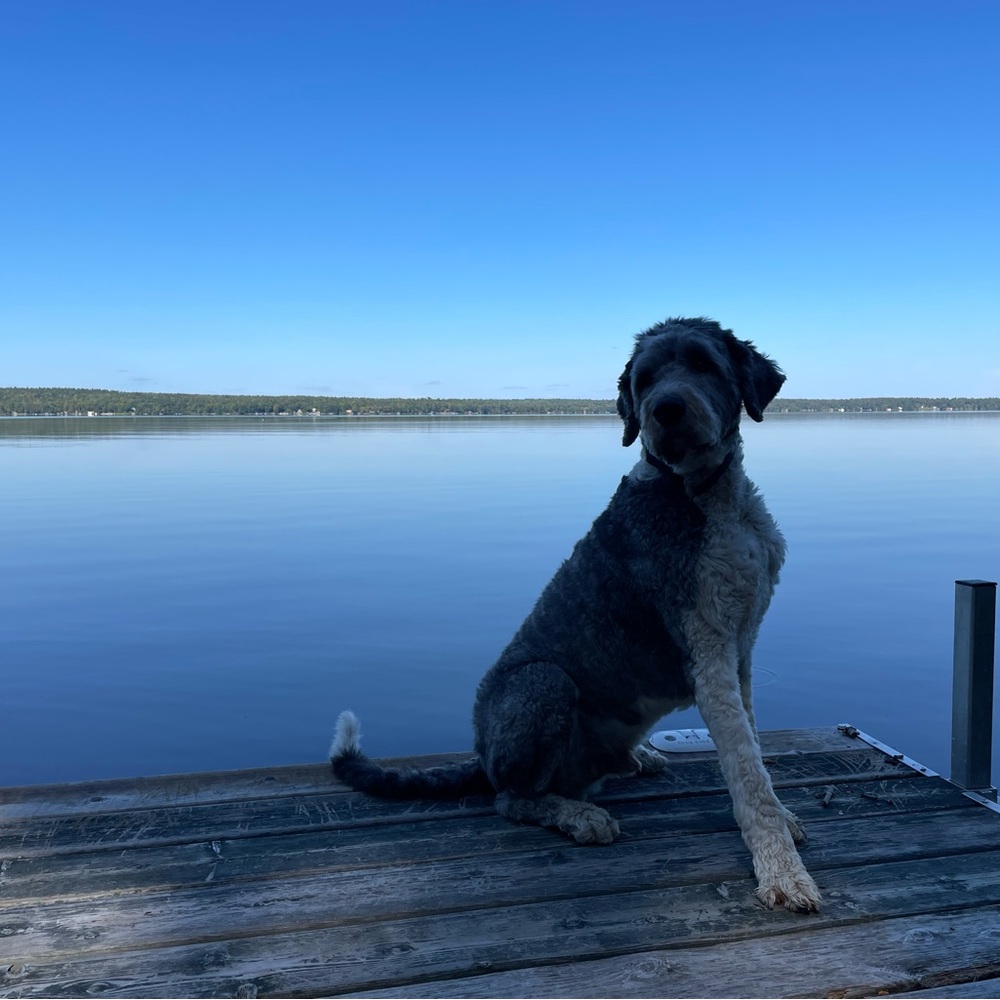 Meet your Posher, Mer!